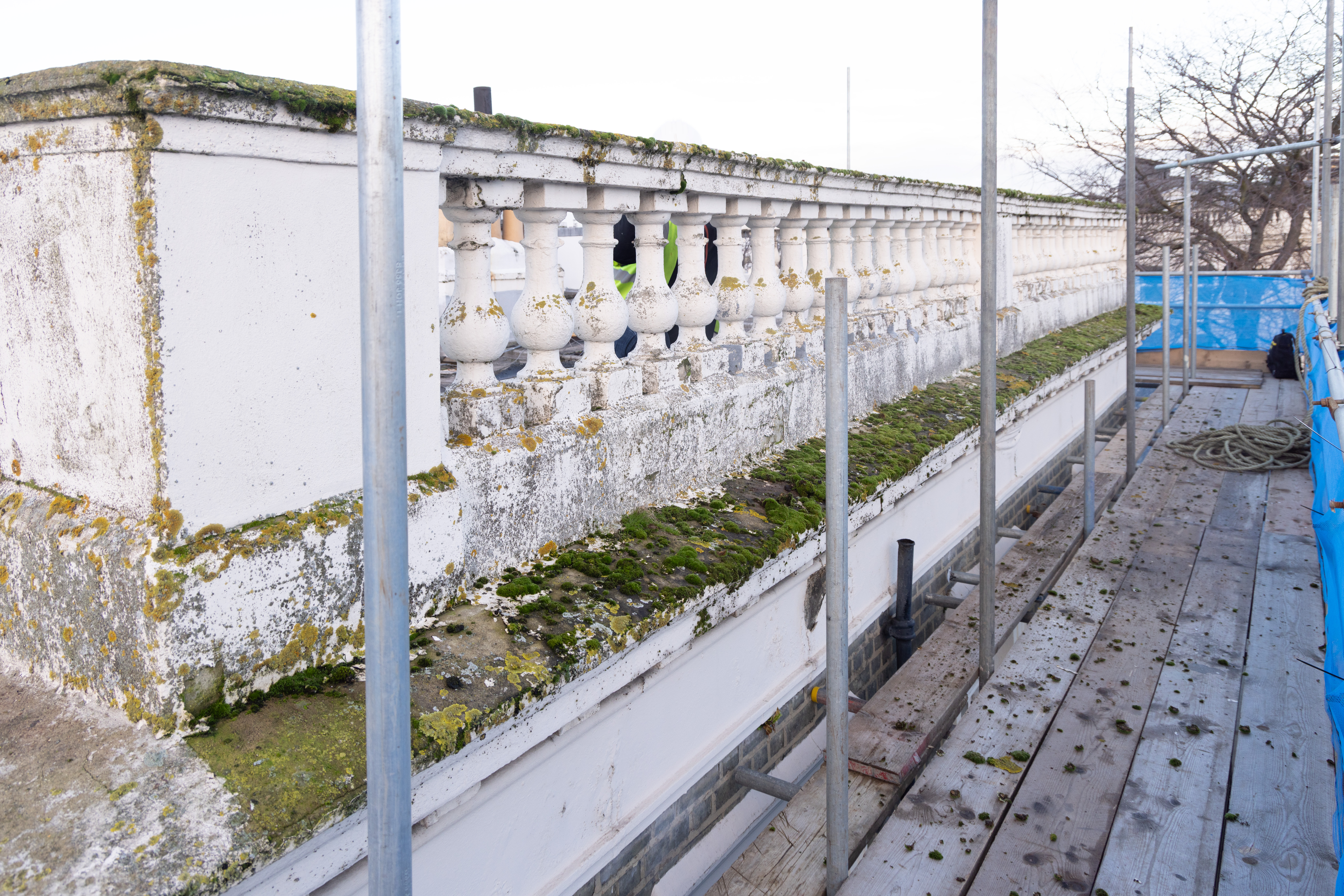 Is Moss on Your Roof a Problem or Just Cosmetic